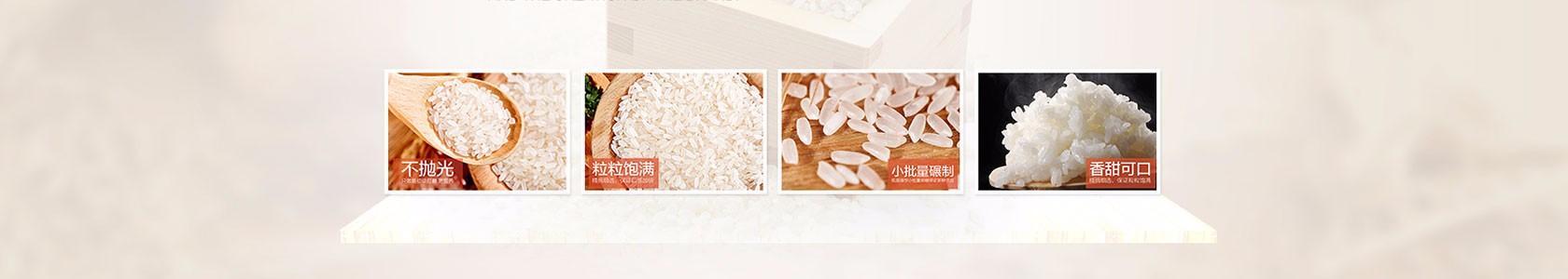 泉州市中盛科技有限公司